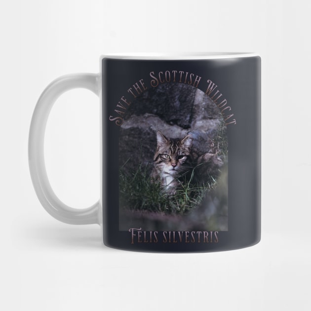Save the Scottish Wildcat by HolidayBug